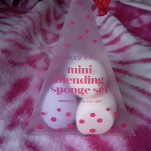 Blending sponges